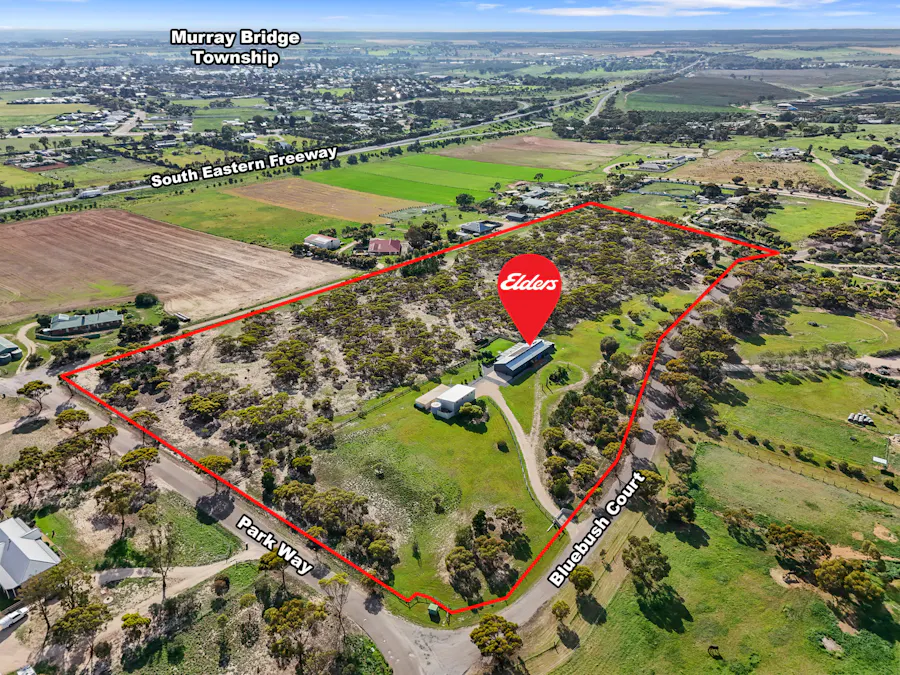7 Bluebush Court, Murray Bridge, SA, 5253 - Image 3