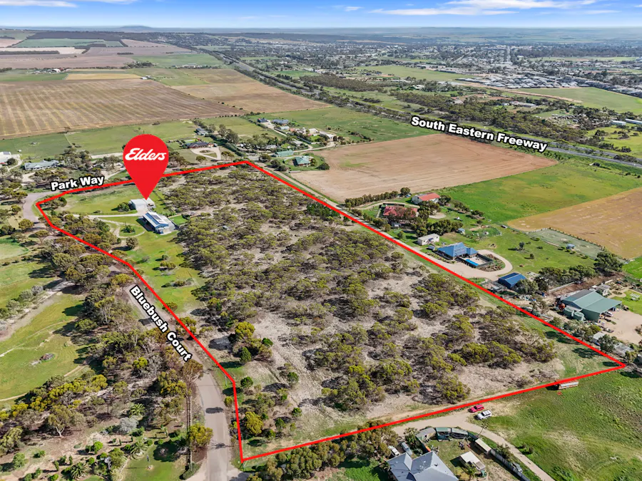 7 Bluebush Court, Murray Bridge, SA, 5253 - Image 32