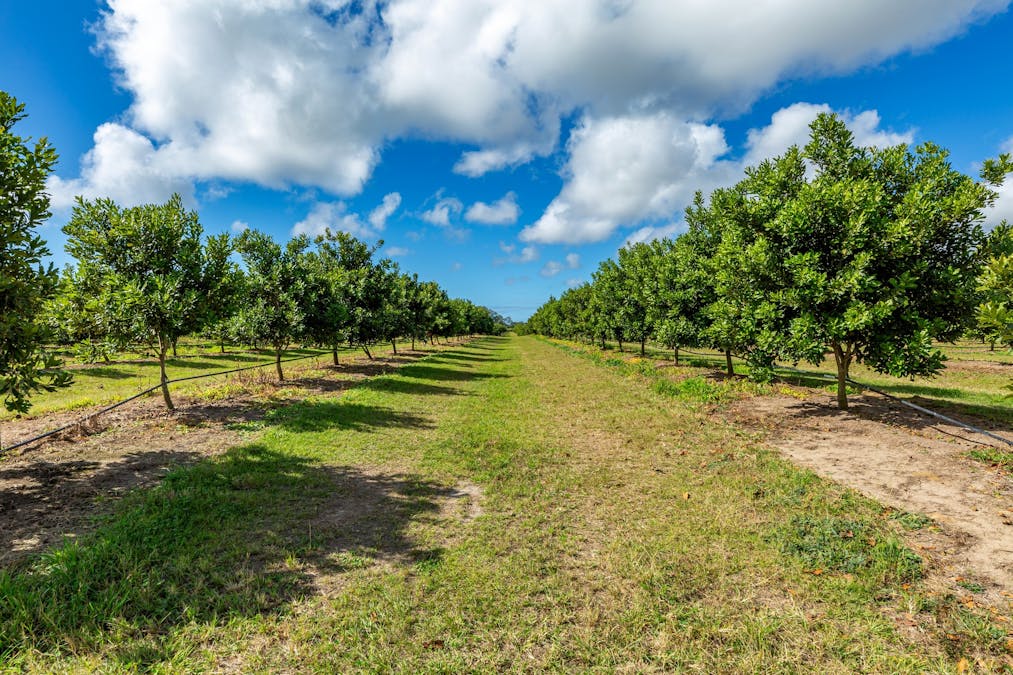 228 Plantation Road, Avondale, QLD, 4670 - Image 3