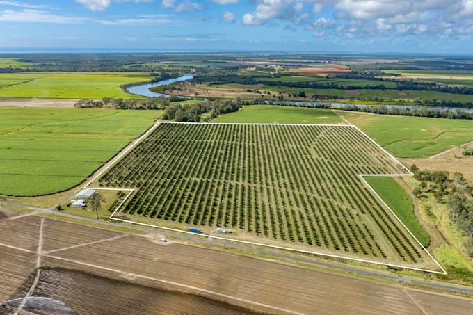 228 Plantation Road, Avondale, QLD, 4670 - Image 1