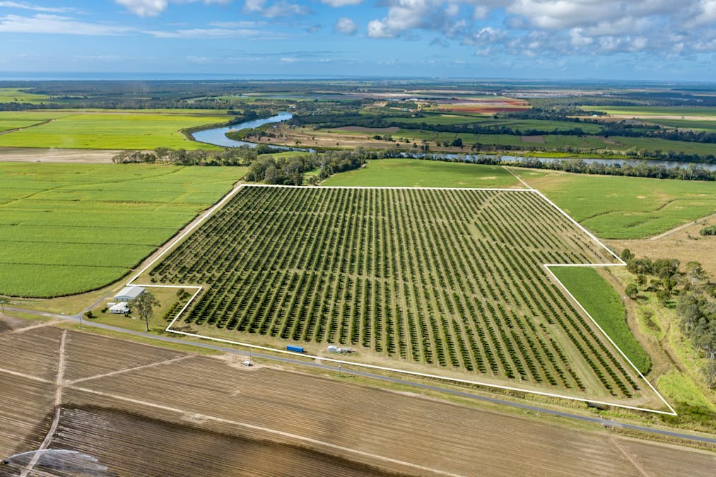 228 Plantation Road, Avondale, QLD, 4670 - Image 1