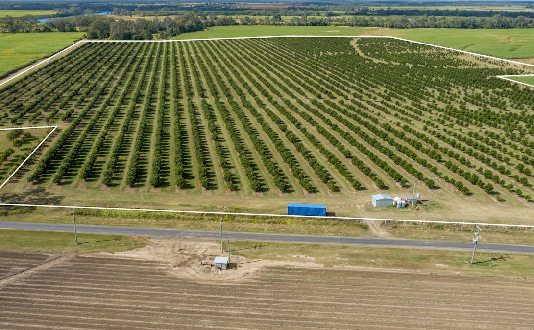 228 Plantation Road, Avondale, QLD, 4670 - Image 2