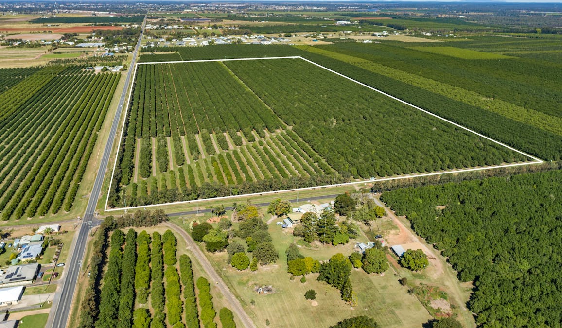 94 Pashleys Road, Welcome Creek, QLD, 4670 - Image 3