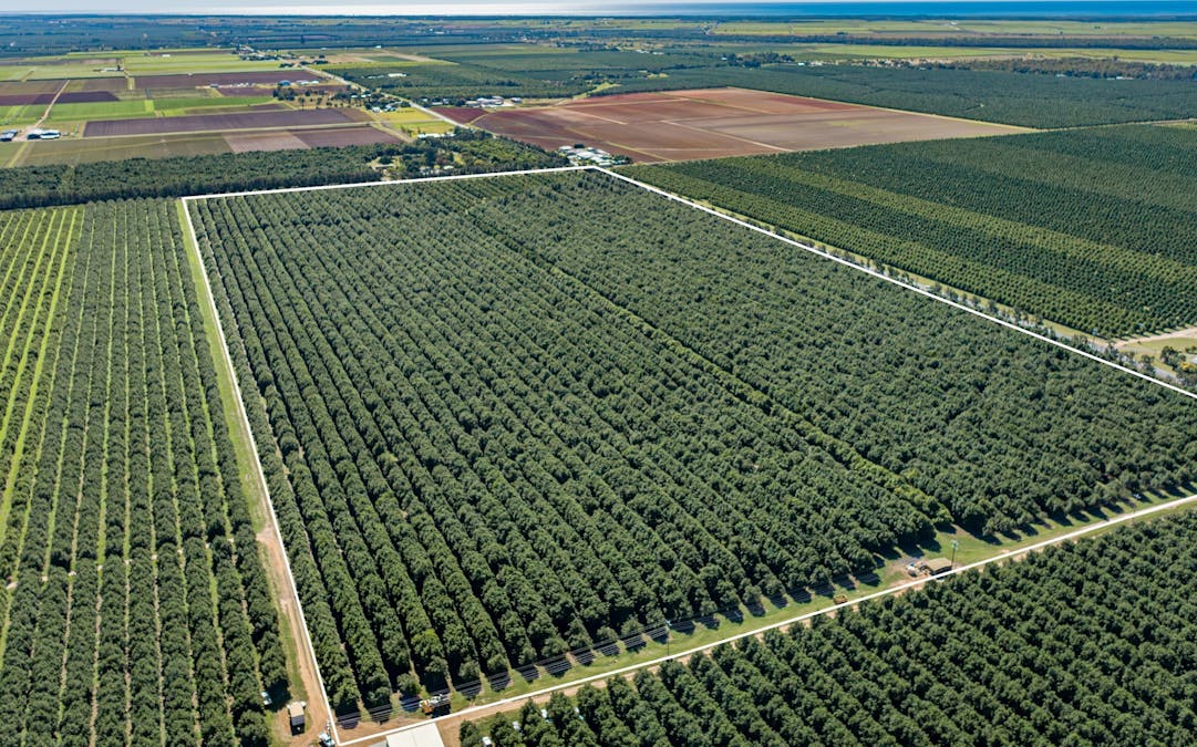 94 Pashleys Road, Welcome Creek, QLD, 4670 - Image 1