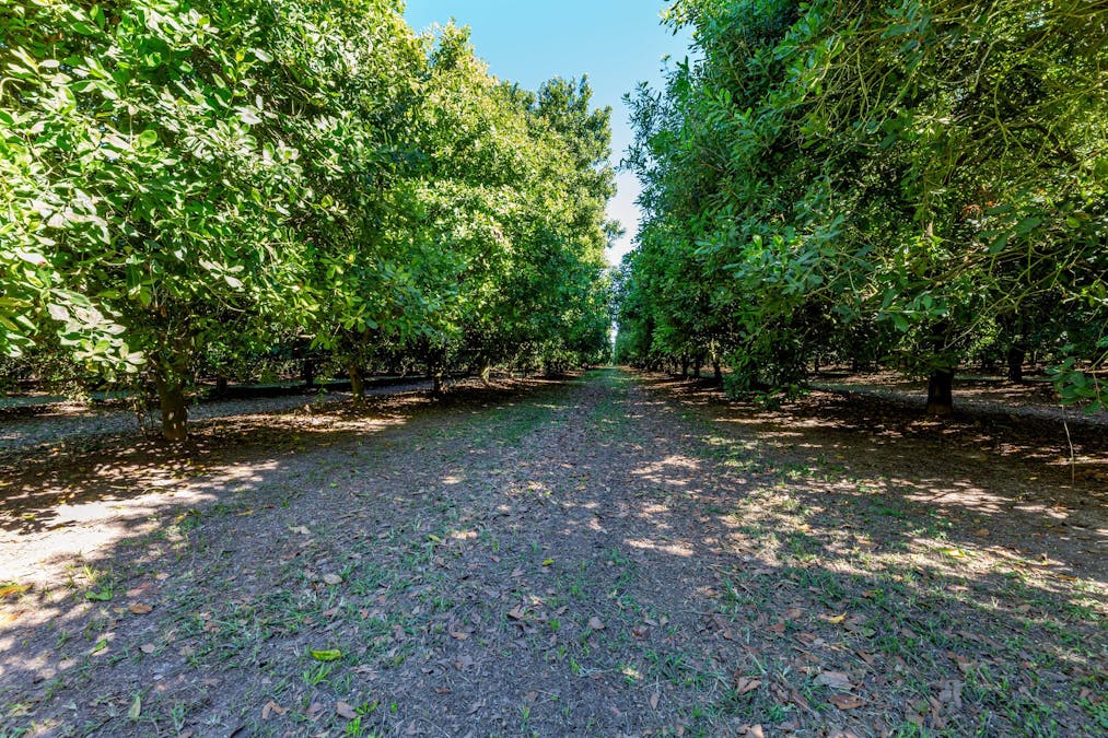 94 Pashleys Road, Welcome Creek, QLD, 4670 - Image 9