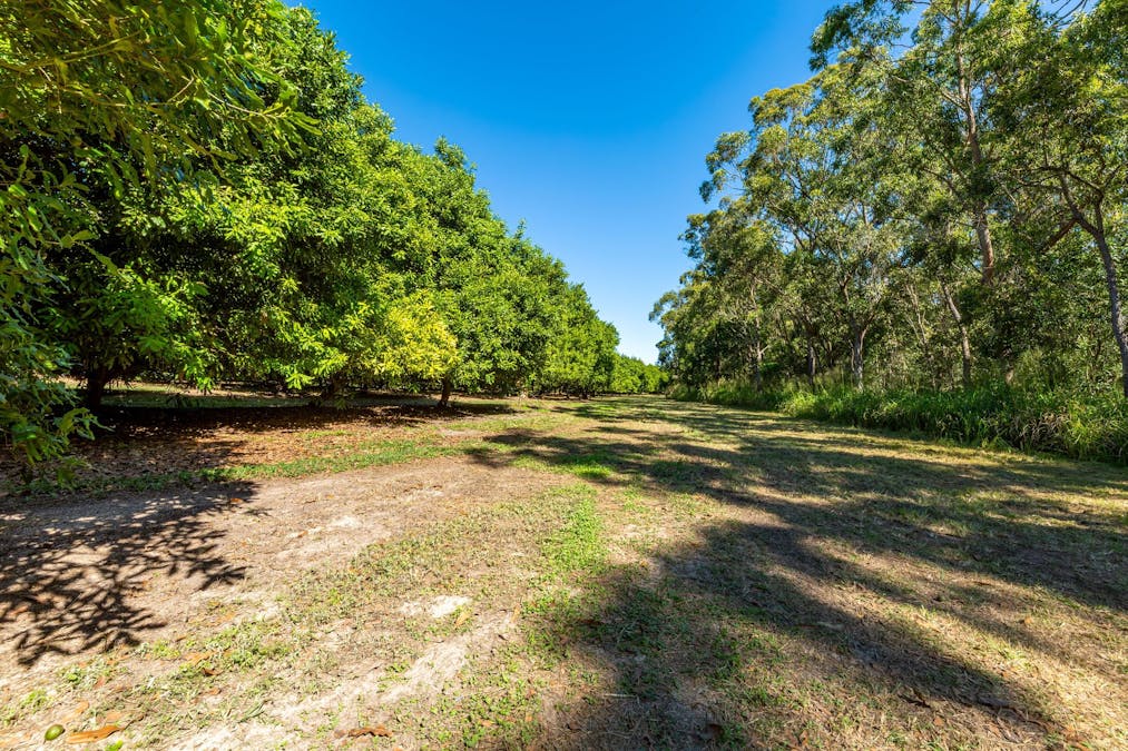 94 Pashleys Road, Welcome Creek, QLD, 4670 - Image 10