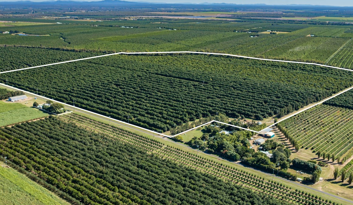 94 Pashleys Road, Welcome Creek, QLD, 4670 - Image 4