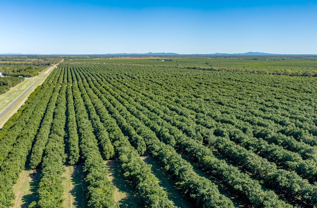 94 Pashleys Road, Welcome Creek, QLD, 4670 - Image 6