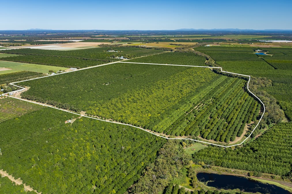 94 Pashleys Road, Welcome Creek, QLD, 4670 - Image 5