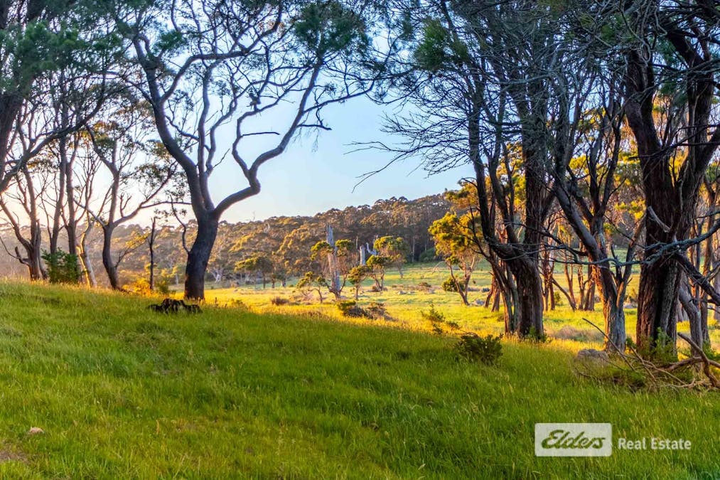 Lot 5/Shelley Beach Road, Kronkup, WA, 6330 - Image 20