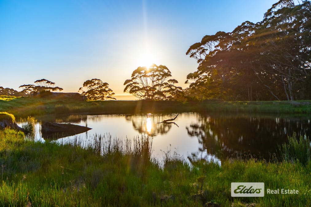 Lot 5/Shelley Beach Road, Kronkup, WA, 6330 - Image 5