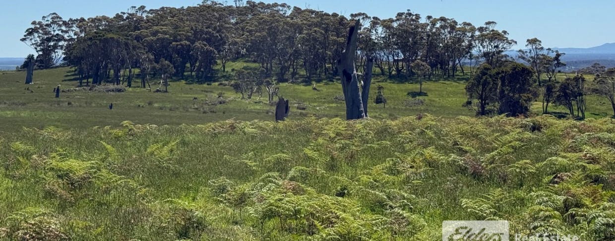 Lot 5/Shelley Beach Road, Kronkup, WA, 6330 - Image 10