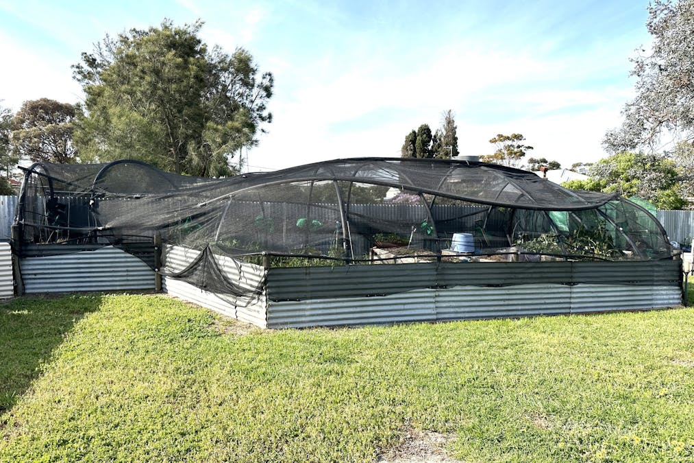 50  Eldridge Street, Ongerup, WA, 6336 - Image 11