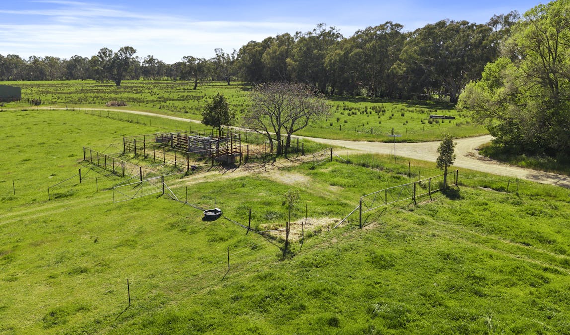 51 Tweed Street & Ambrosio Road, North Wangaratta, VIC, 3678 - Image 25