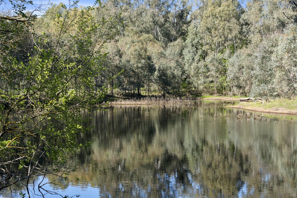 51 Tweed Street & Ambrosio Road, North Wangaratta, VIC, 3678 - Image 11