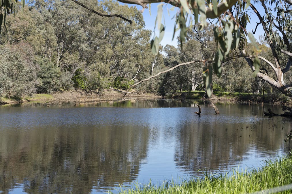 51 Tweed Street & Ambrosio Road, North Wangaratta, VIC, 3678 - Image 12