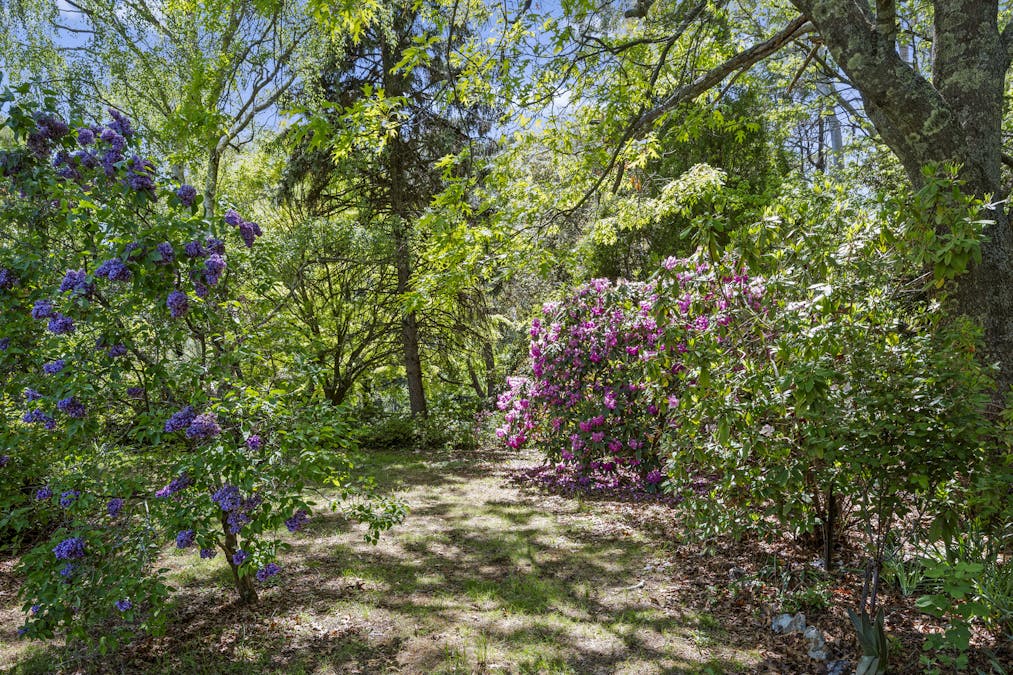 592 Bonnie Doon Road, Boho South, VIC, 3669 - Image 6