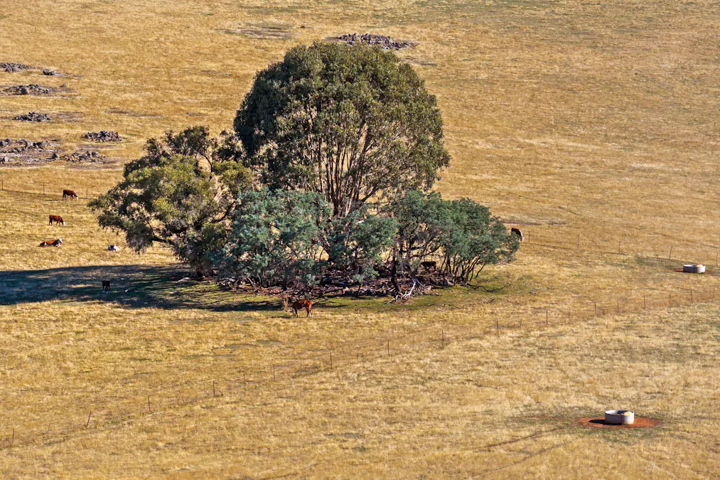 592 Bonnie Doon Road, Boho South, VIC, 3669 - Image 7