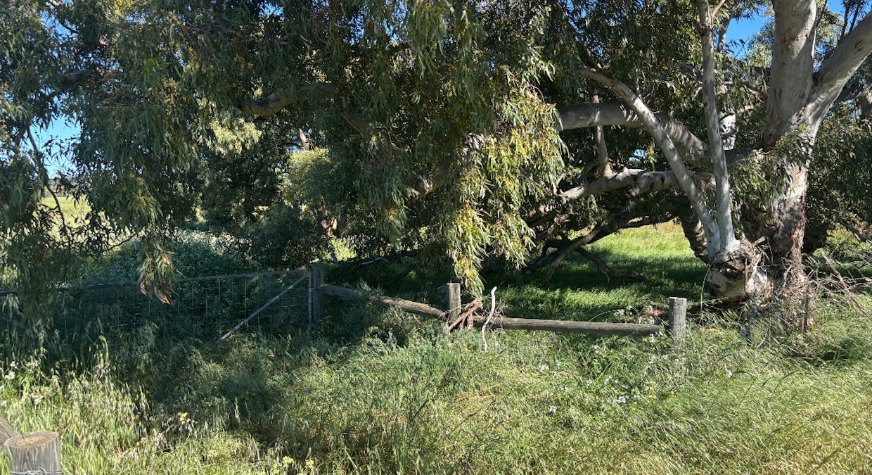 Lot 1914 Minnenooka Road, Minnenooka, WA, 6532 - Image 2