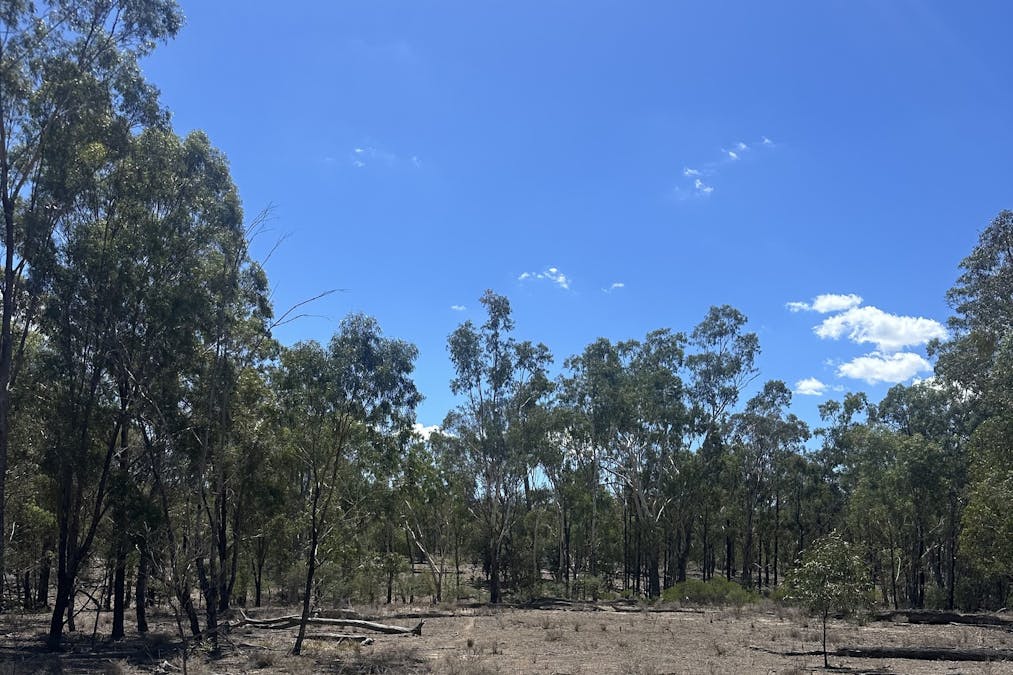 Mosquito Creek Road, Mosquito Creek, QLD, 4387 - Image 7