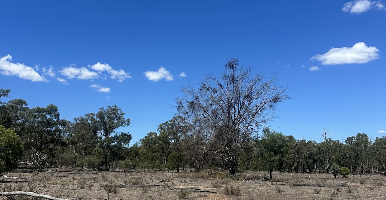 Mosquito Creek Road, Mosquito Creek, QLD, 4387 - Image 9