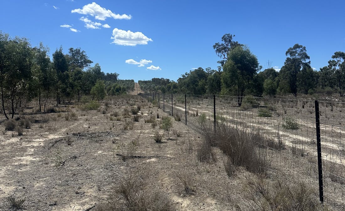 Mosquito Creek Road, Mosquito Creek, QLD, 4387 - Image 10