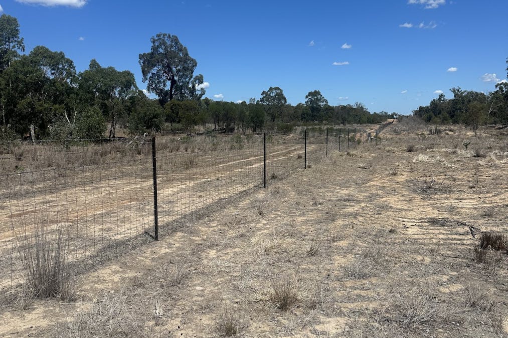 Mosquito Creek Road, Mosquito Creek, QLD, 4387 - Image 11