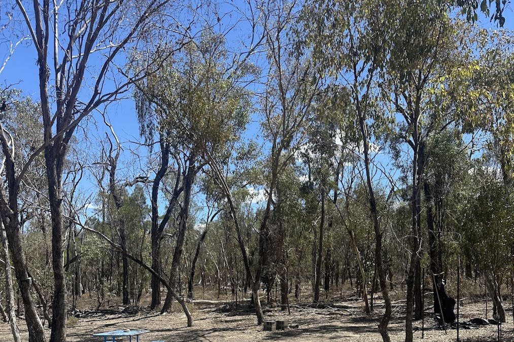 Mosquito Creek Road, Mosquito Creek, QLD, 4387 - Image 12