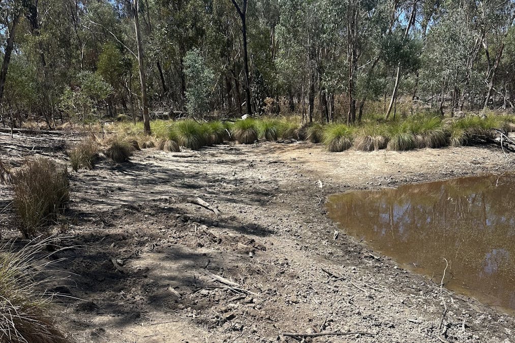 Mosquito Creek Road, Mosquito Creek, QLD, 4387 - Image 13