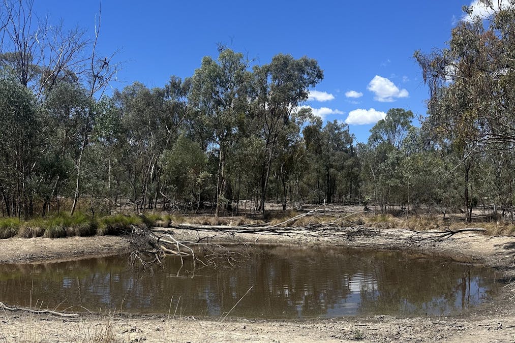 Mosquito Creek Road, Mosquito Creek, QLD, 4387 - Image 14