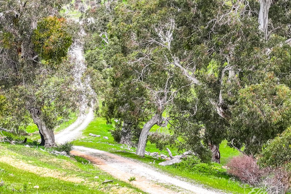 266 No Where Else Road, Rapid Bay, SA, 5204 - Image 5