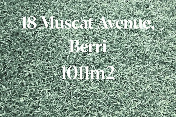 18 Muscat Avenue, Berri, SA, 5343 - Image 1