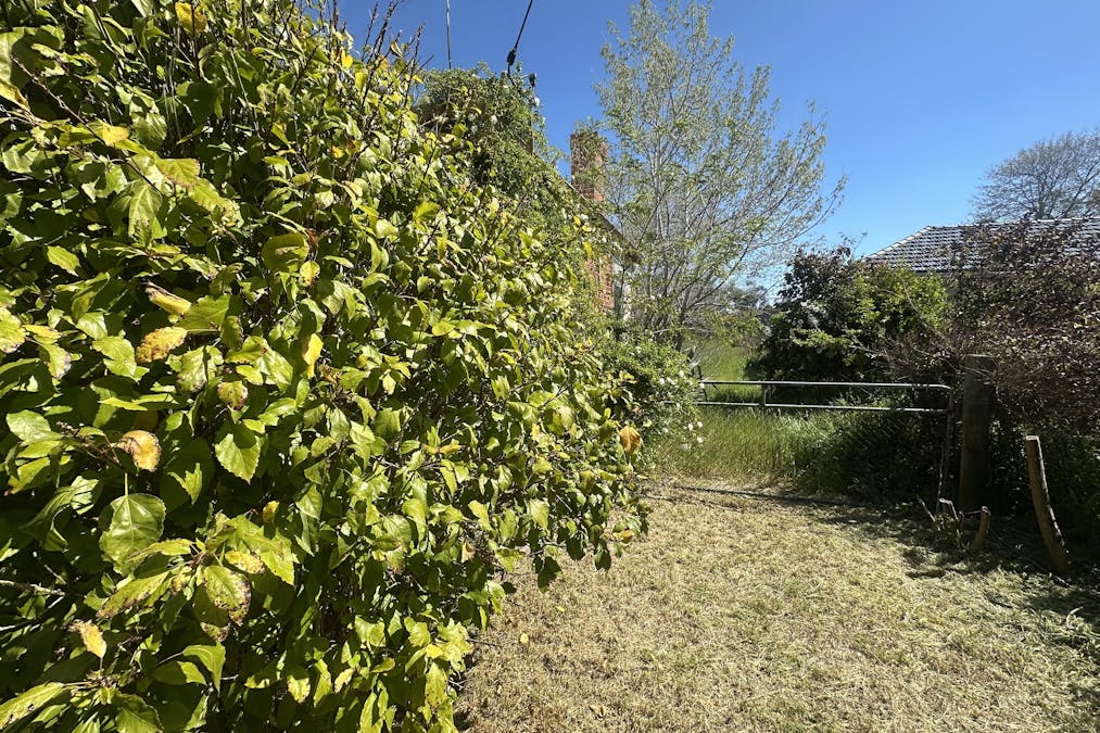 19 Garrity Street, Tambellup, WA, 6320 - Image 15