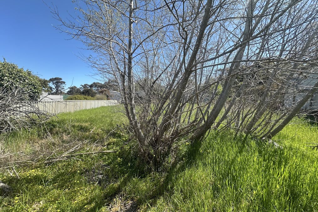 19 Garrity Street, Tambellup, WA, 6320 - Image 16