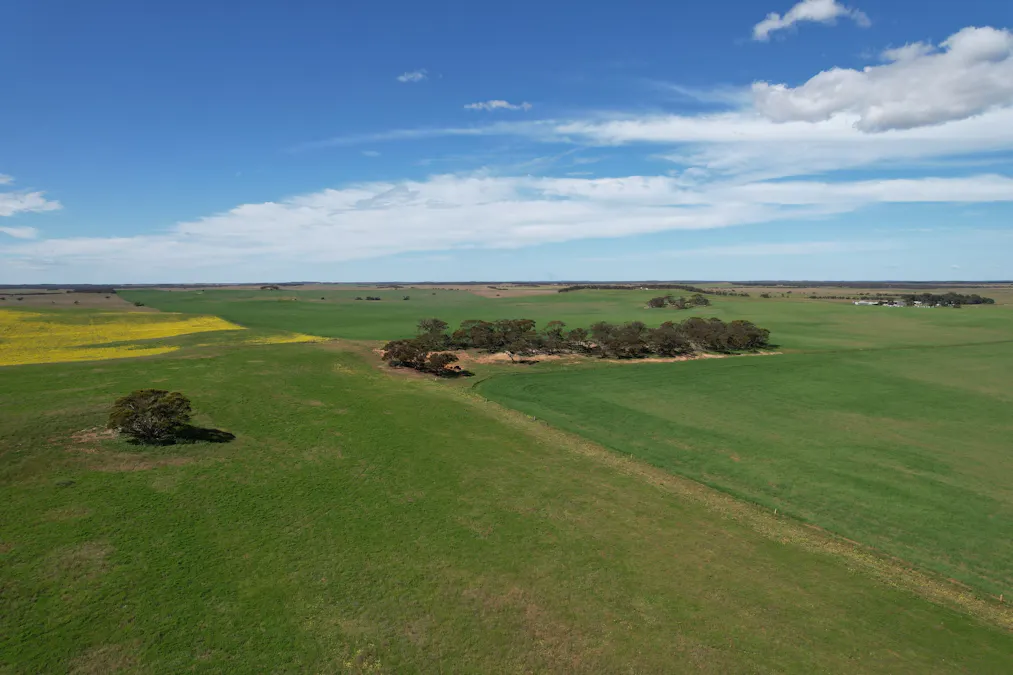 252 Hoffner Road, Sandalwood, SA, 5309 - Image 5