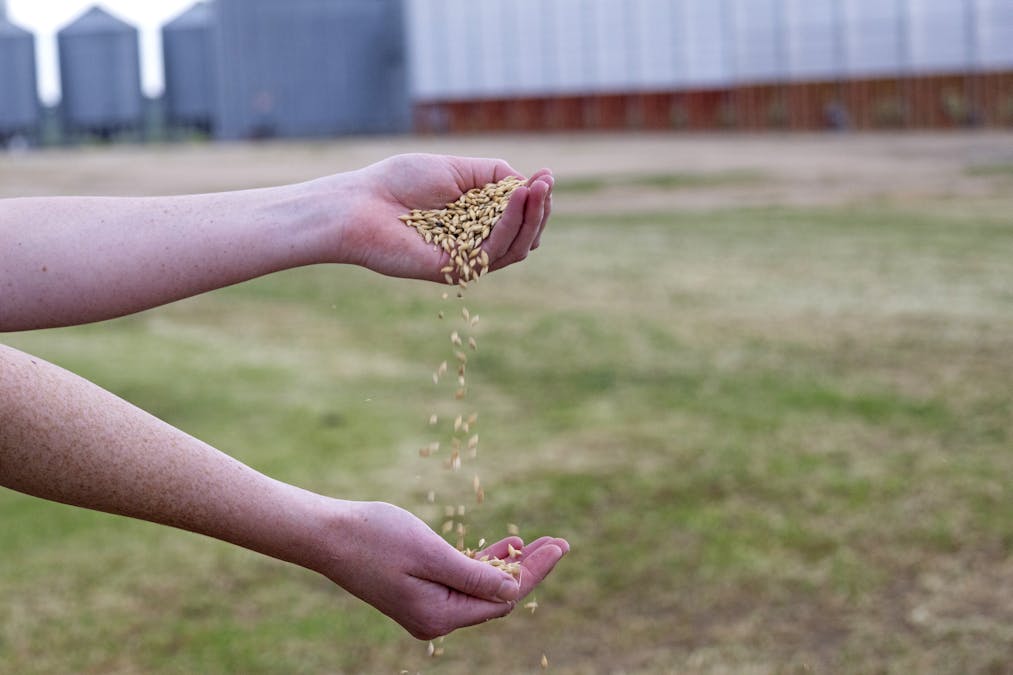 677 Brooks Road, Serviceton, VIC, 3420 - Image 4