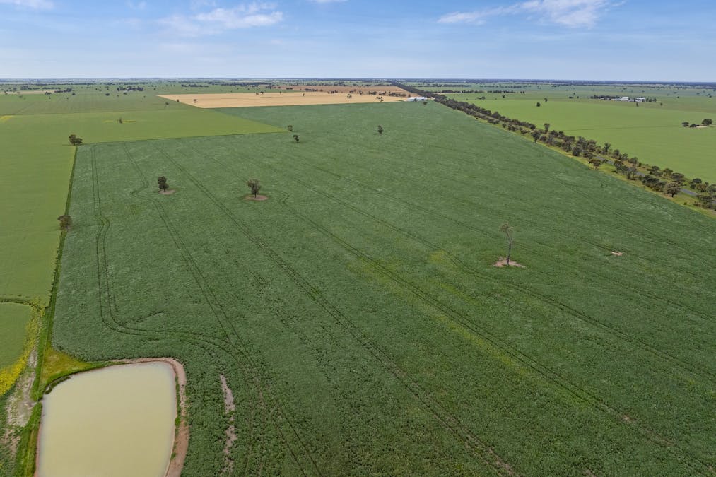 677 Brooks Road, Serviceton, VIC, 3420 - Image 8