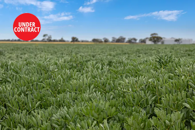 Lot 2 677 Brooks Road, Serviceton, VIC, 3420 - Image 1