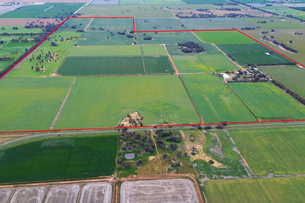 520 Mayrung Road, Finley, NSW, 2713 - Image 2