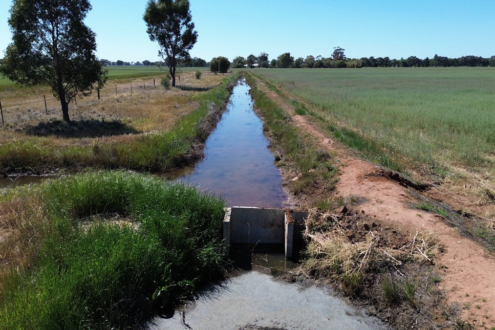 520 Mayrung Road, Finley, NSW, 2713 - Image 17