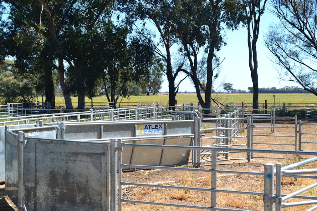 520 Mayrung Road, Finley, NSW, 2713 - Image 9