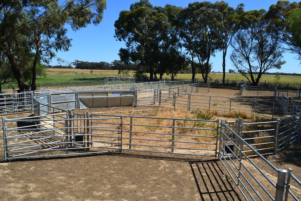 520 Mayrung Road, Finley, NSW, 2713 - Image 10