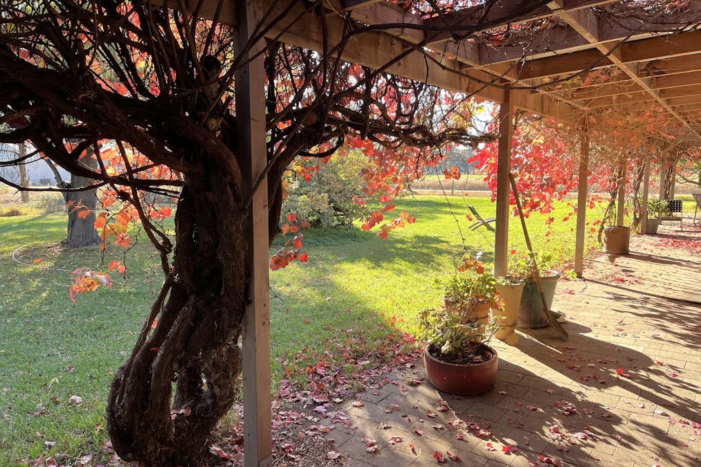 520 Mayrung Road, Finley, NSW, 2713 - Image 25