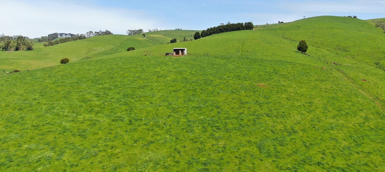 365 Limonite Road, Boolarra South, VIC, 3870 - Image 27