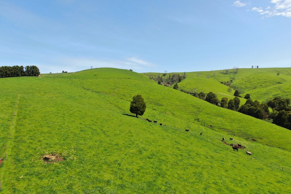 365 Limonite Road, Boolarra South, VIC, 3870 - Image 28