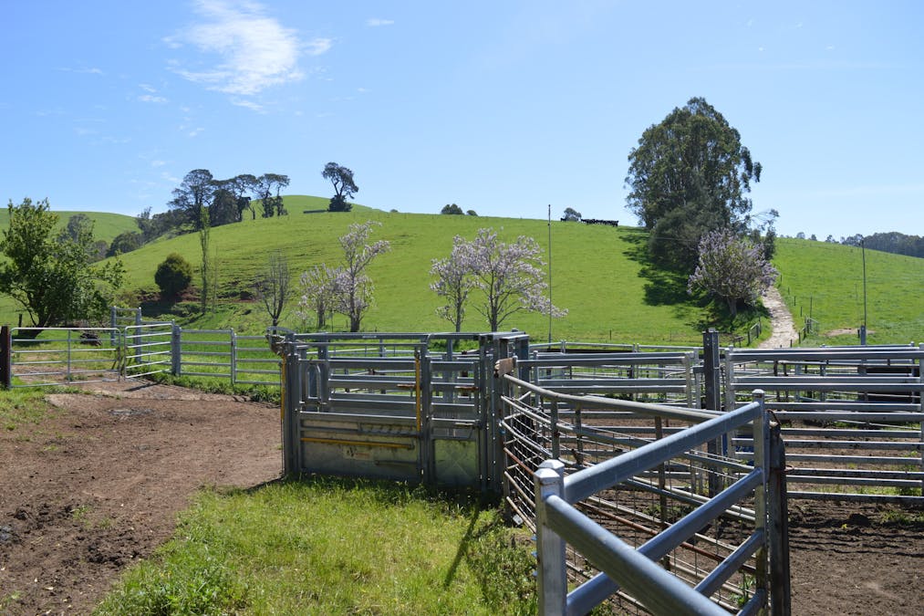 365 Limonite Road, Boolarra South, VIC, 3870 - Image 8