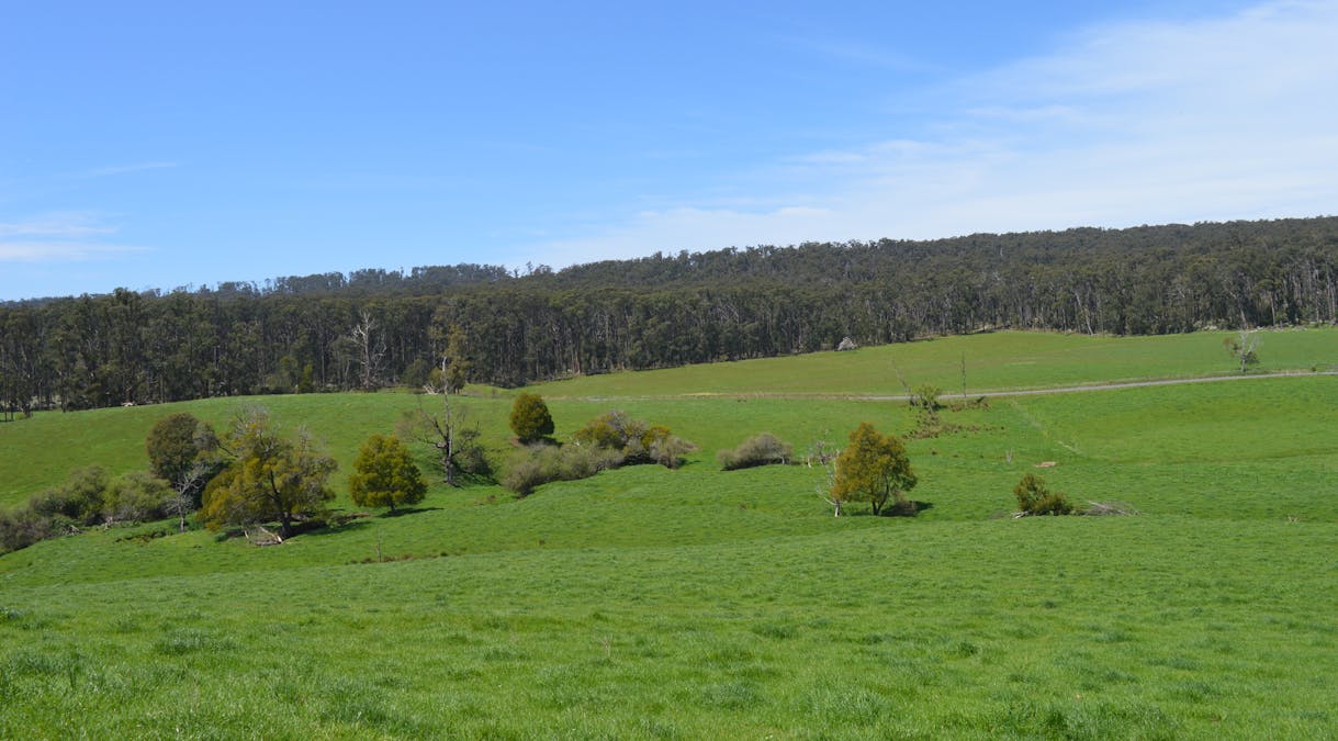 365 Limonite Road, Boolarra South, VIC, 3870 - Image 3