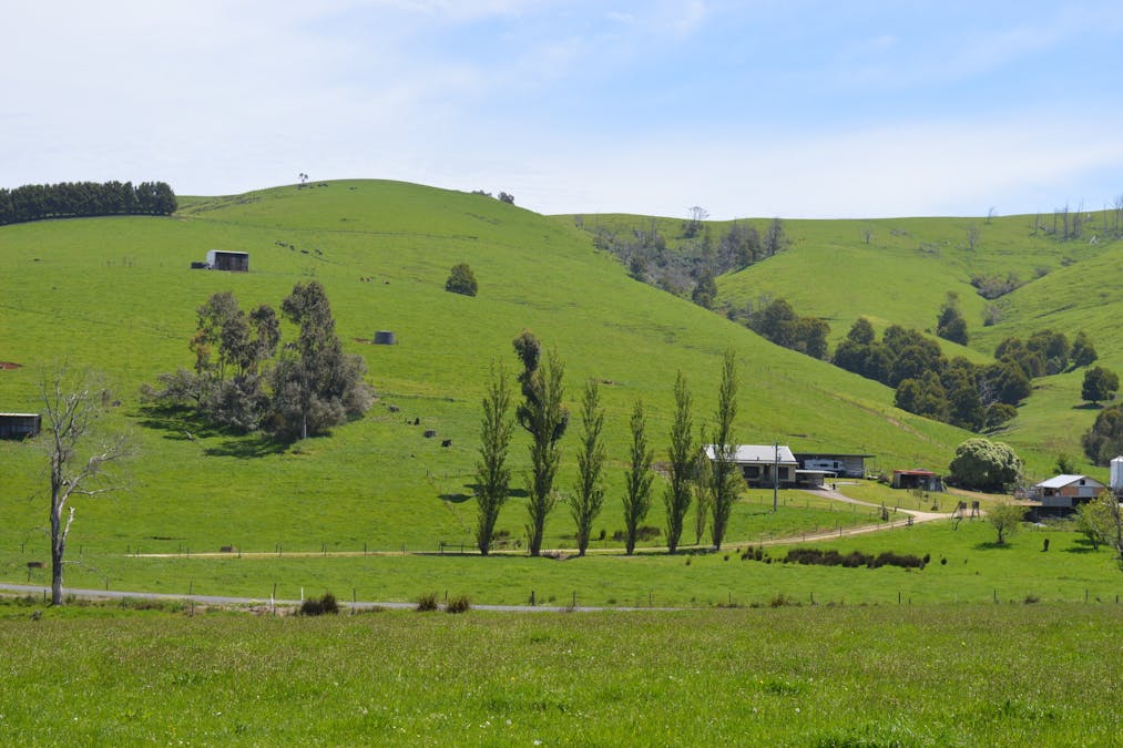 365 Limonite Road, Boolarra South, VIC, 3870 - Image 35