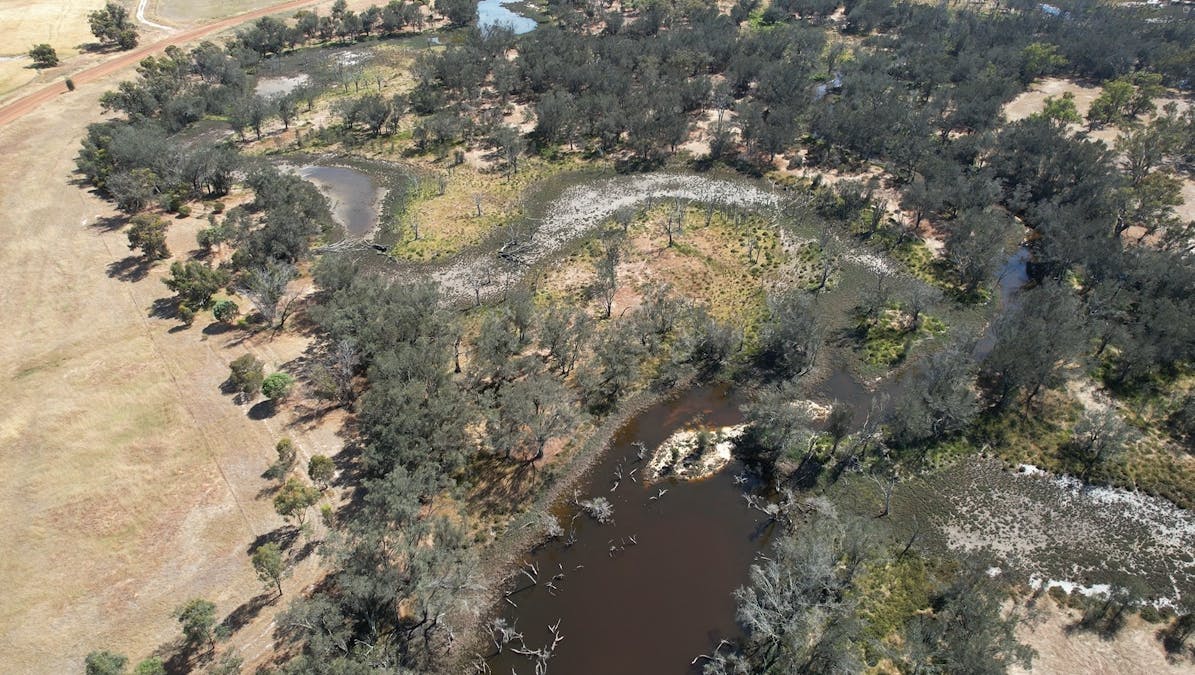 Lot 21 Morrell Road, Arthur River, WA, 6315 - Image 3