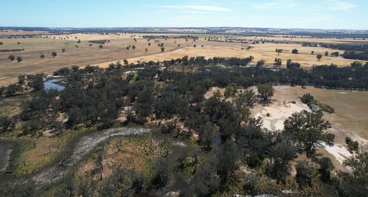 Lot 21 Morrell Road, Arthur River, WA, 6315 - Image 6